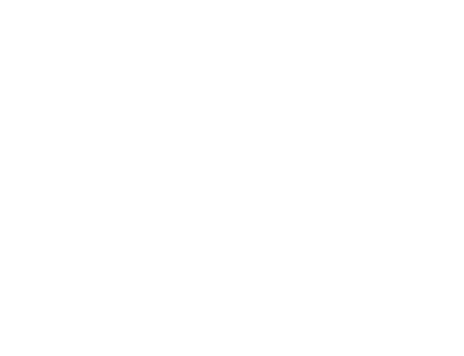 Sanad Consult